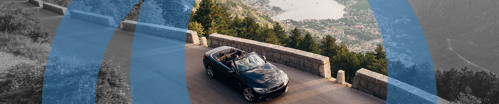 Зелена карта - фото на uniqa.ua Зелена карта - фото