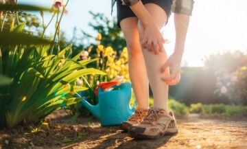 Опасные насекомые летом: как защититься и что делать при укусах - фото