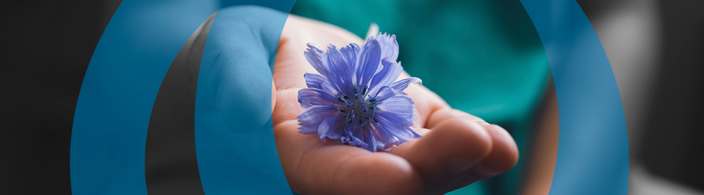 Страховий випадок - фото на uniqa.ua Страховий випадок - фото